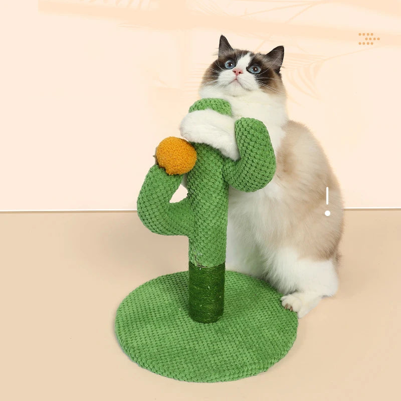 Krabpaal cactus