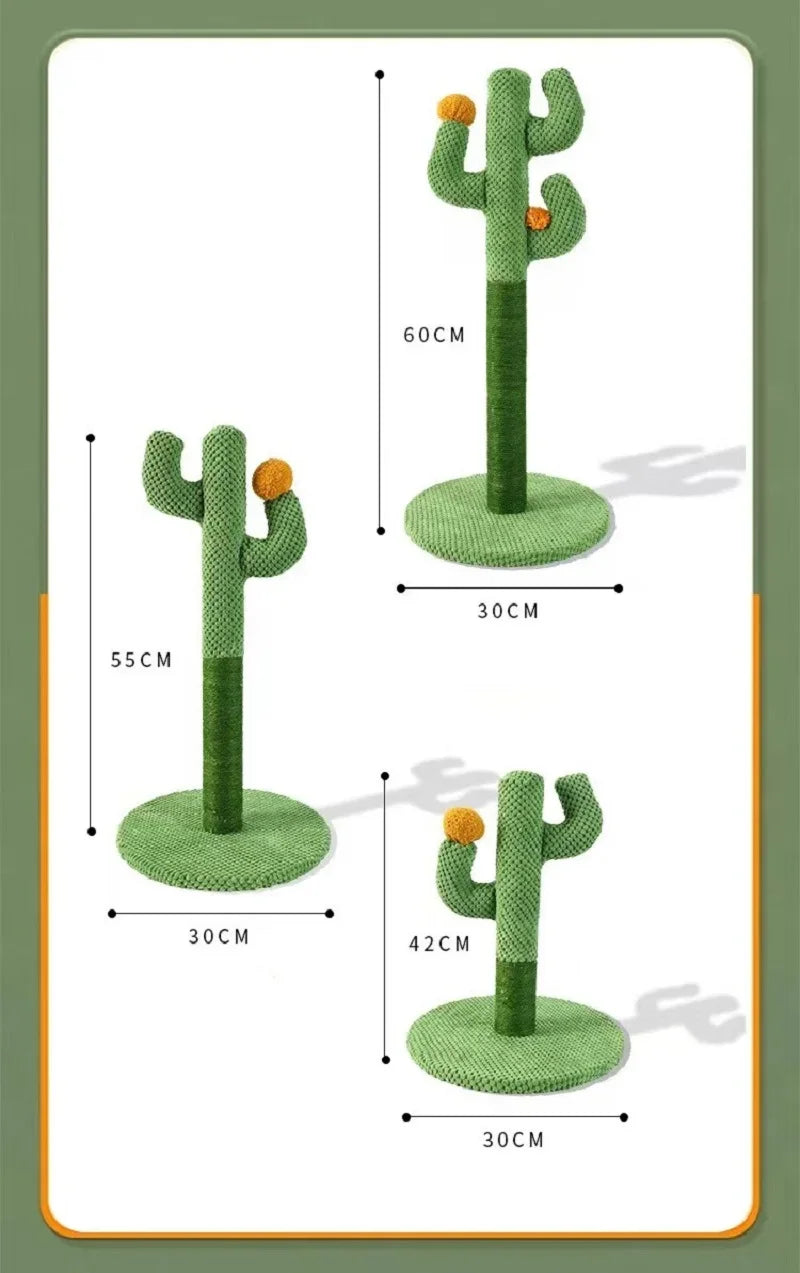Krabpaal cactus
