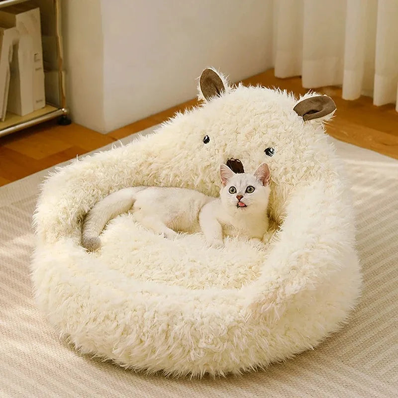 Kattenkussen knuffelbeer