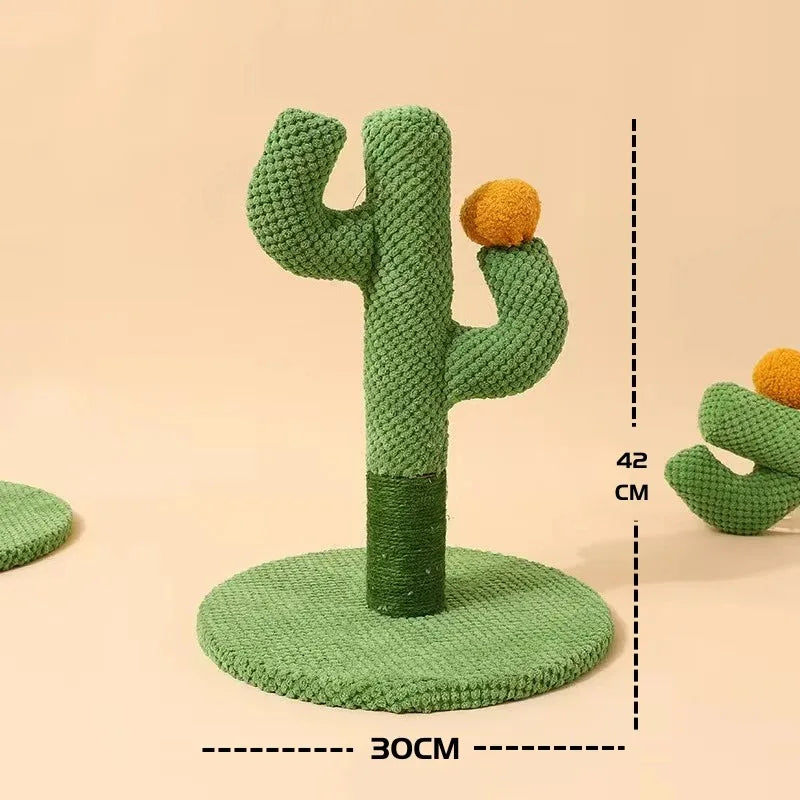 Krabpaal cactus