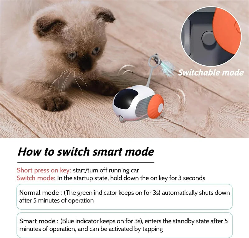 Kattenmuis electronisch