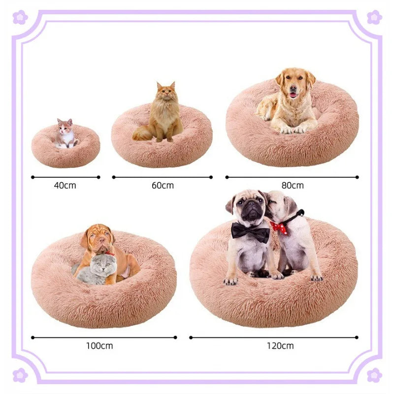 Kattenkussen donut