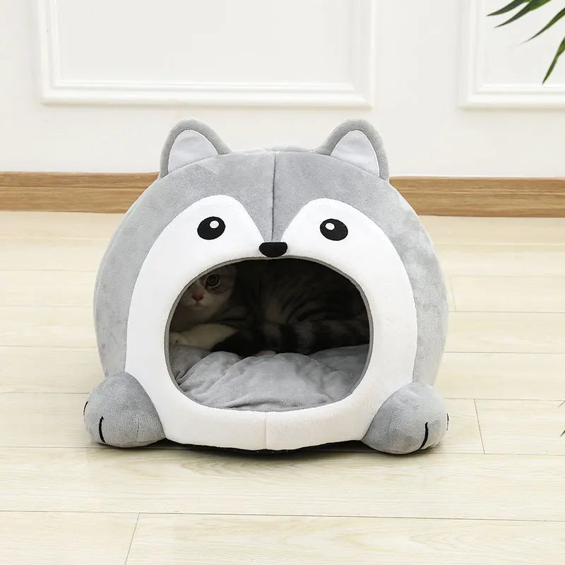 Kattenkussen kat