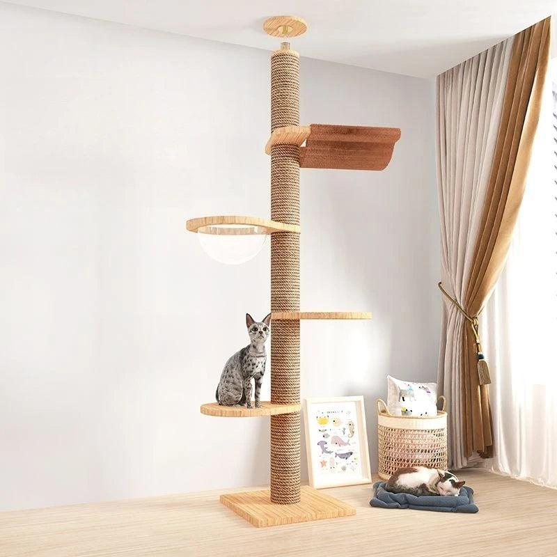 Kattenboom 5 etages