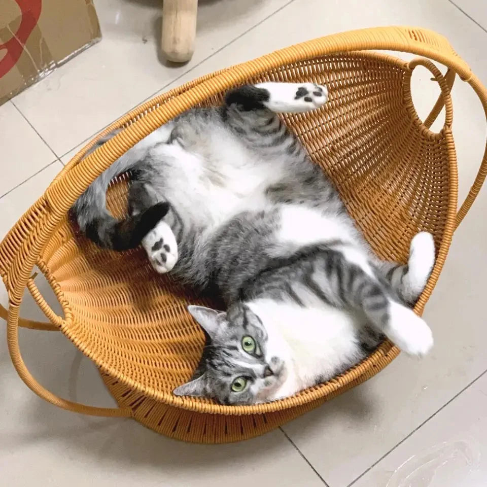Rotan Kattenhuis