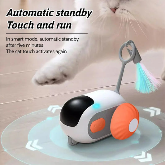 Kattenmuis electronisch