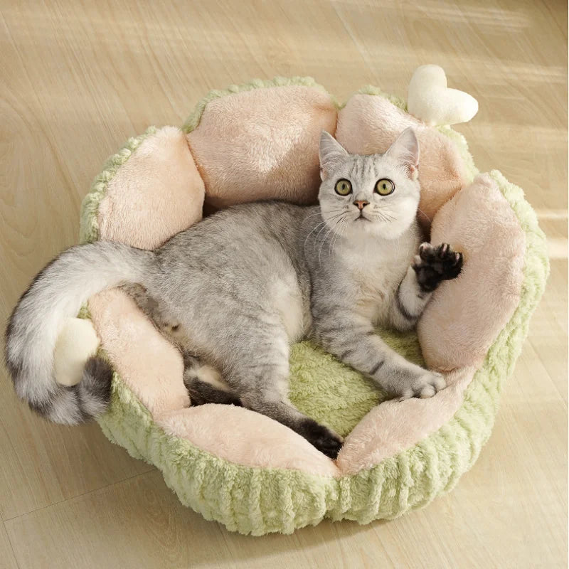 Kattenkussen bloem