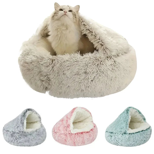 Kattenkussen oester