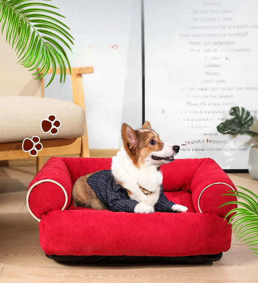 Hondenkussen sofa