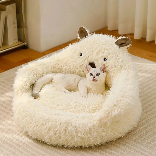 Kattenkussen knuffelbeer
