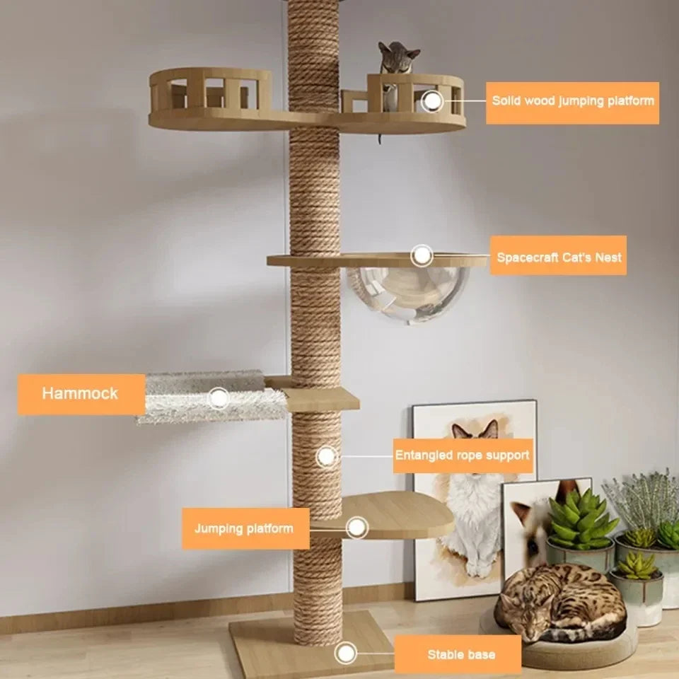 Kattenboom 5 etages