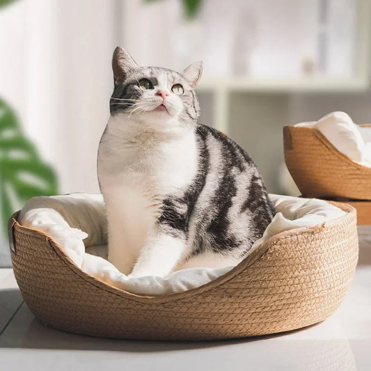 Kattenkussen rotan