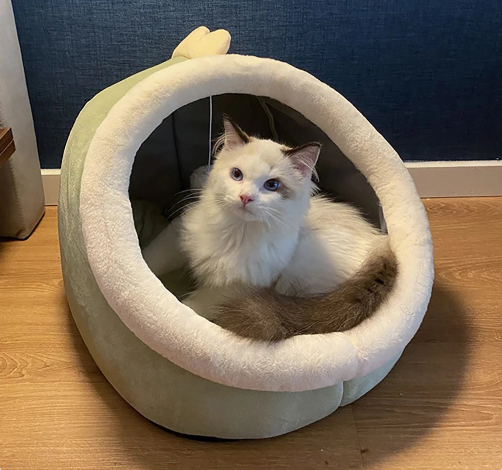 Kattenbed stripheld