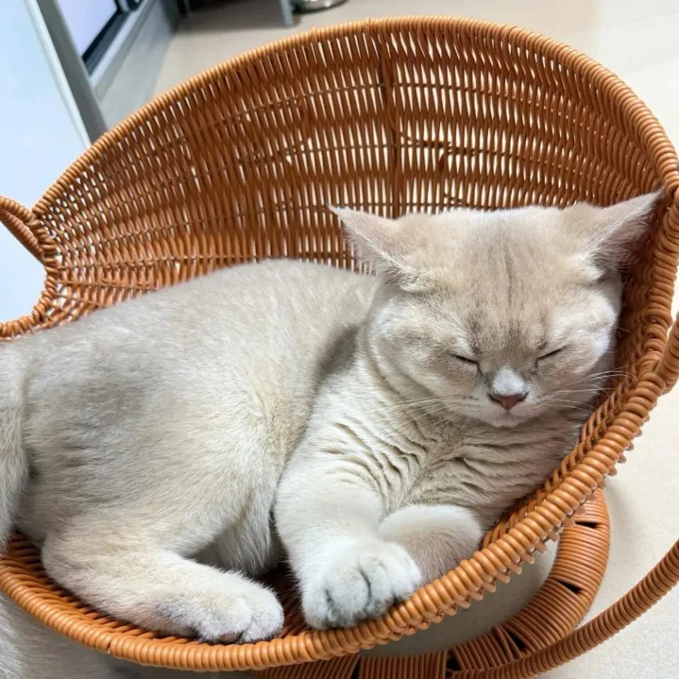 Rotan Kattenhuis